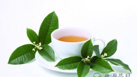 茶叶饮料音保健茶介绍