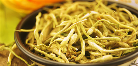 金银花茶能预防疾病