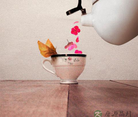 保和养胃茶制作及功效介绍