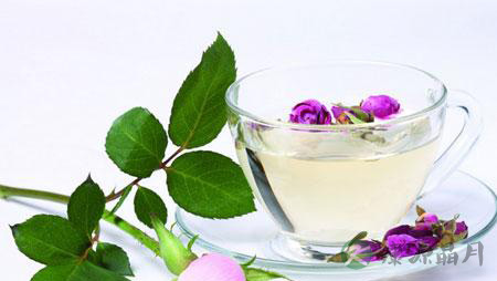 夏天喝什么茶好 夏天喝茶4大注意事项