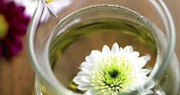 白领一族喝菊花茶养生