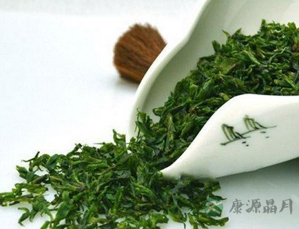 口腔异味怎么办？常喝苦丁茶可去异味