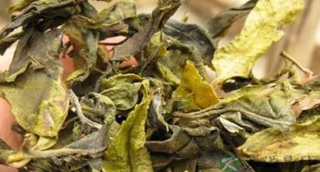 真正的普洱茶黄片是什么样的