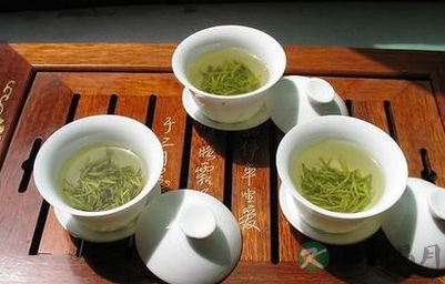 养生茶如何选择？不同的人喝不同的茶