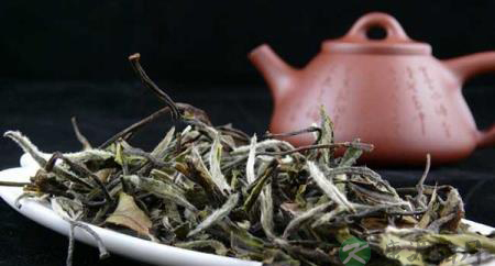 传闻中的茶界“女汉子”
