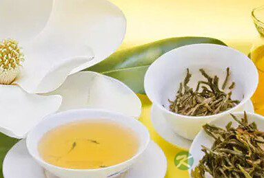茉莉花茶，初春养生