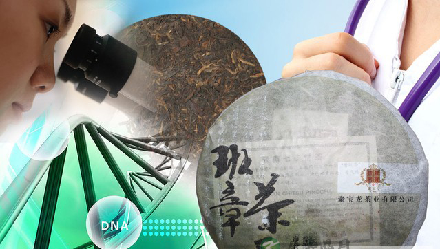 云南省普洱市近日公布的一个消息令世人震惊了