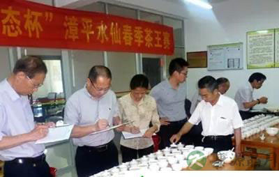 福建省评茶师协会在武夷山正式成立