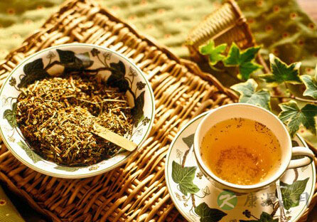 神农尝百草，日遇七十二毒，得茶而解之