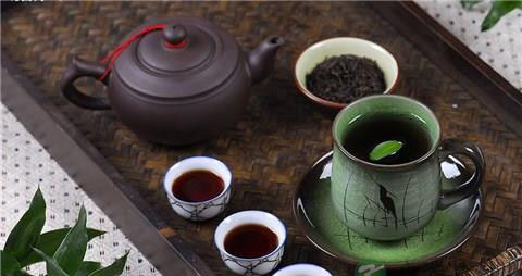 冬日养生首选黑茶