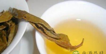 真正的普洱茶黄片是什么样的