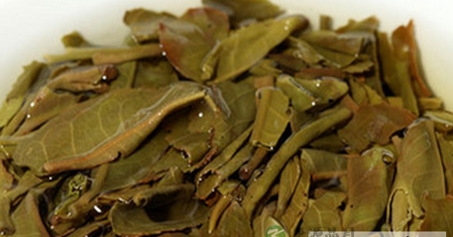 细说“茶叶渣”鲜为人知的妙用