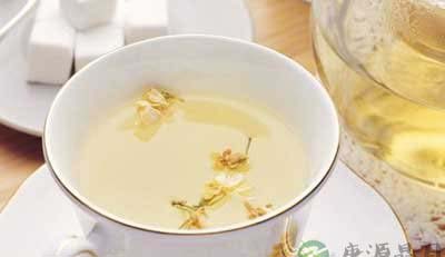春季喝花茶养生 女性喝茉莉花茶有讲究