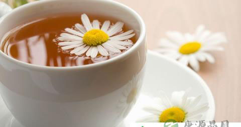 三伏天喝点菊花茶