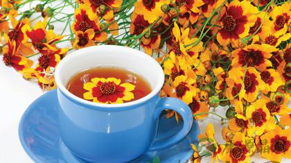 孕妇能喝菊花茶吗