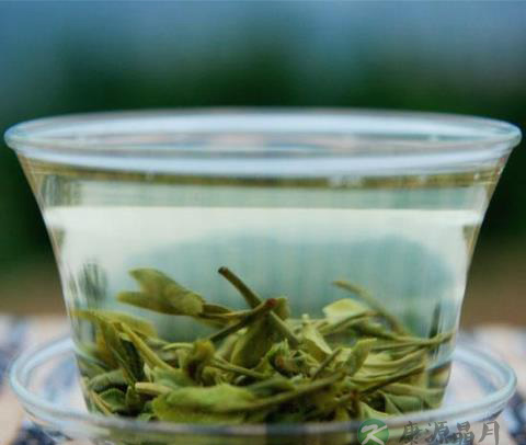 霜桑叶茶具有润眼明目可有效缓解眼疲劳功效 霜桑叶茶具有润眼明目可有效缓解眼疲劳功效