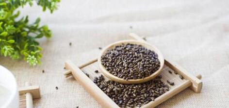 决明子茶适合什么时候喝呢?