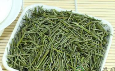 松针茶是否有降血压的功效