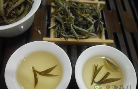 白茶的保健功效作用
