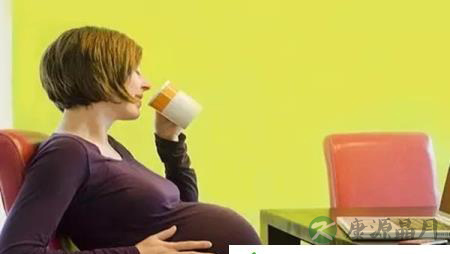 怀孕期间如何正确饮茶? 怀孕期间如何正确饮茶?