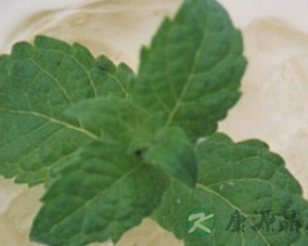 牛奶与茶的完美口味 健康养生的破坏分子