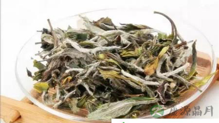 白茶：一年茶，三年药，七年宝