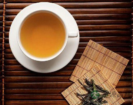 苦丁茶的功效与药用价值