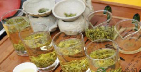 喝茶真的能提神？