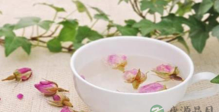 总有一种茶适合你