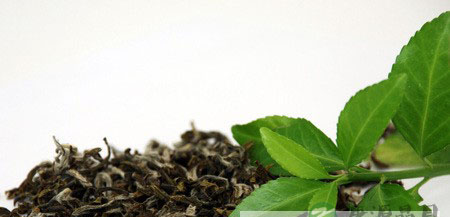 用什么茶叶来制作茶枕