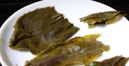 你喝过普洱黄片茶么？