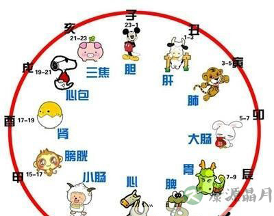 3分钟让你记住十二时辰养生