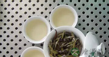春季喝什么茶最养生
