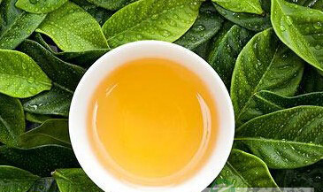 夏季养生自配“营养茶” 有6种茶请勿入口