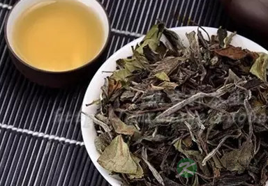 老白茶的功效，是健康的养生秘诀！