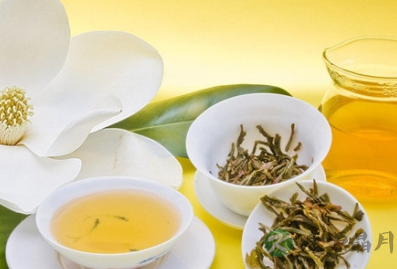 茶道养生 消食健胃茶14方