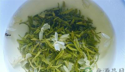 借你一双慧眼识别茶的真假
