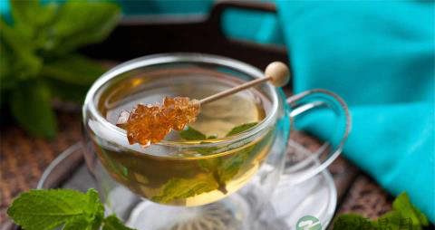 菌答术陈茶利湿化浊退黄功效