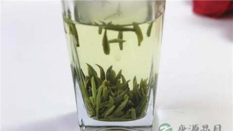 金坛雀舌茶叶的功效及作用介绍