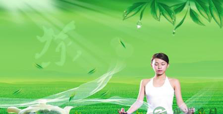 秋茶宠儿：安溪铁观音