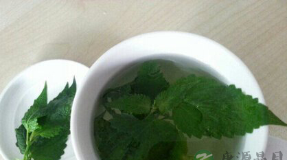 夏天清热消暑喝什么茶 12款茶饮防范中暑
