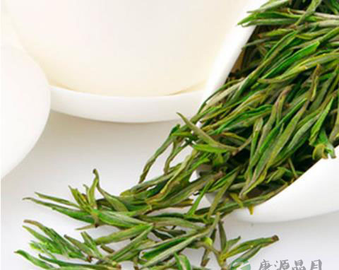 安吉白茶的保健介绍