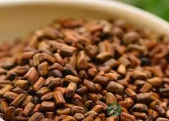 花茶忌随便搭 教你安全配花茶