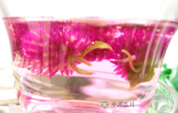 千日红花茶的作用