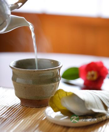 DIY最神速刮油茶 燃脂排毒两不误