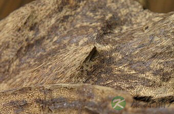 沉香茶与养生功效