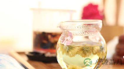 菊花茶的功效作用与泡法