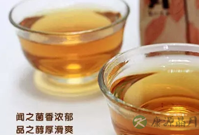 安化黑茶怎么喝更营养