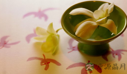 茶的食疗养生知多点
