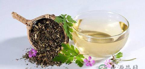 芦根竹茹茶具有清热除烦 止呕化痰功效